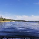  , -, 54  -  21  2021    