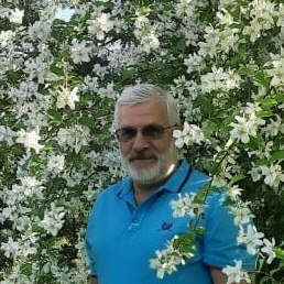 �������, ���������, 56 ���