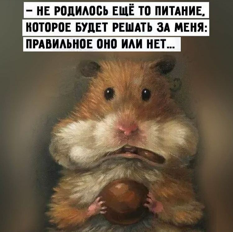   - 16  2021  06:03