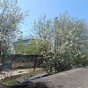  , , 73  -  3  2021      2021