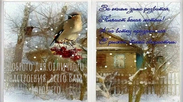   ,    . - 26  2022  13:22 - 3