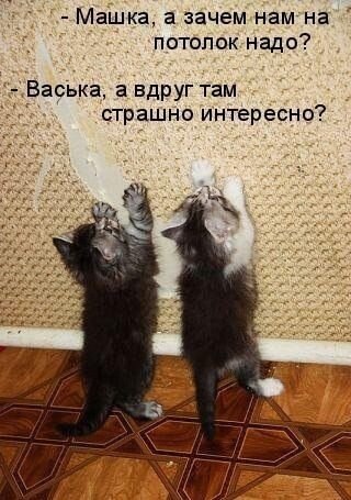   - 1  2021  16:15