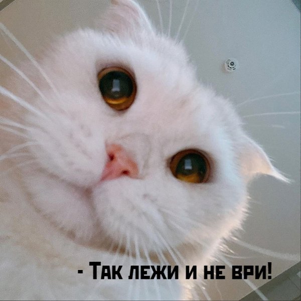       - 24  2021  10:14 - 5