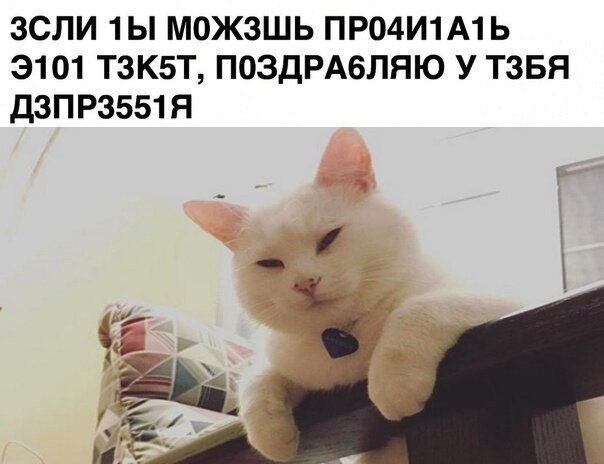 ☆   ☆ - 17  2021  09:11