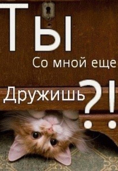 ***Victoria Viktorovna*** - 16  2021  05:09