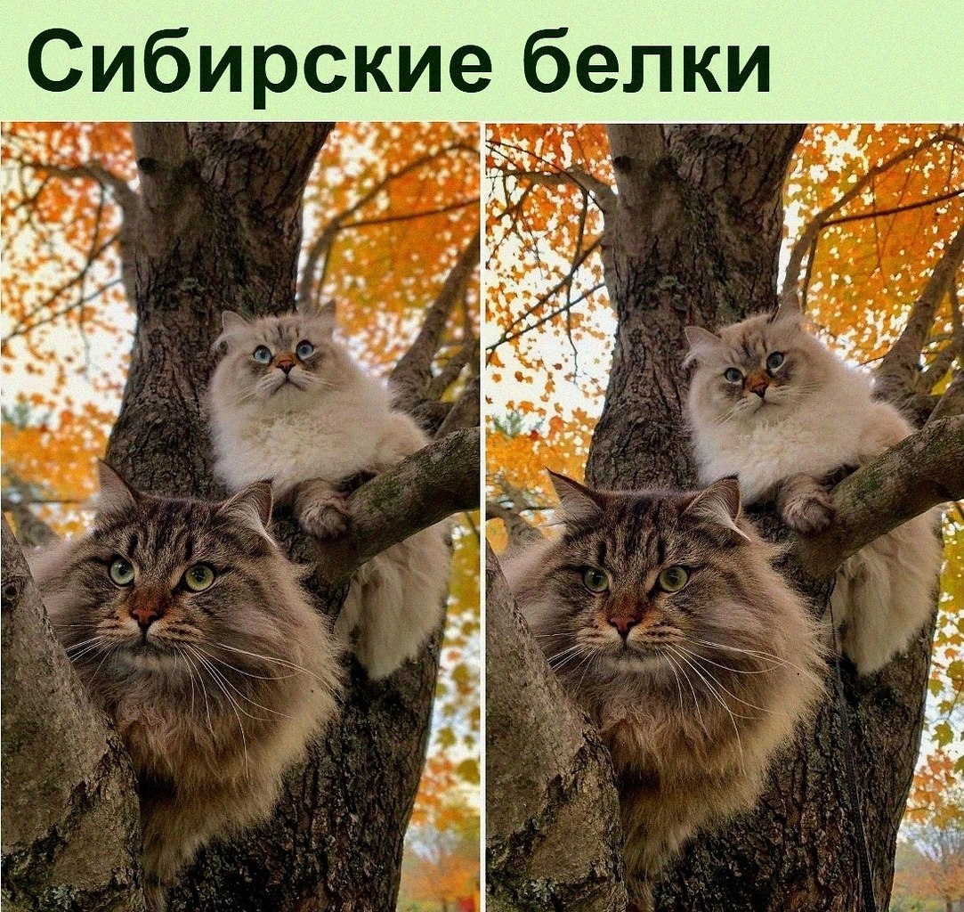   :D - 4  2022  16:39