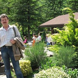 ��������, �����������, 72 ����