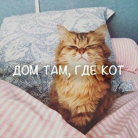   - !., ,  !