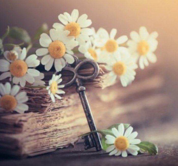  ,   .  ,   .   ,   ,   ...