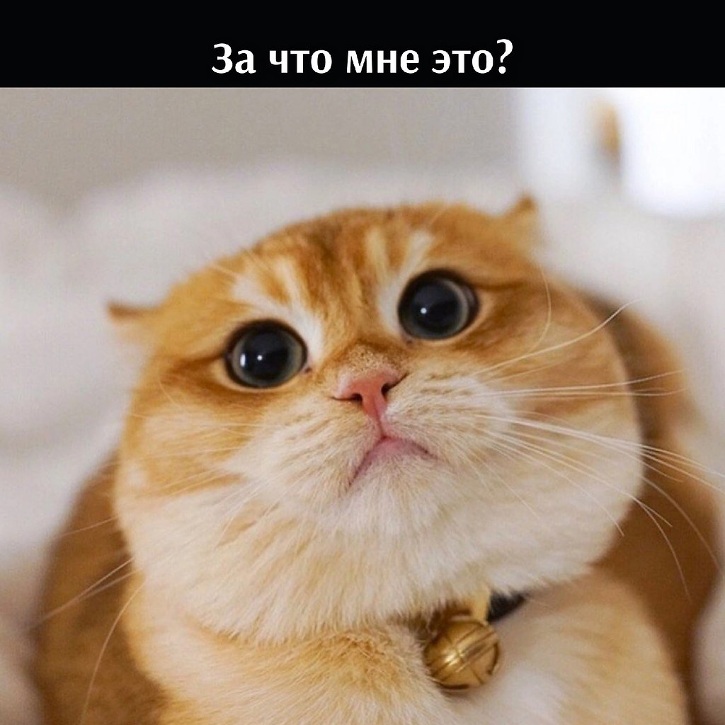       - 16  2022  19:57 - 3