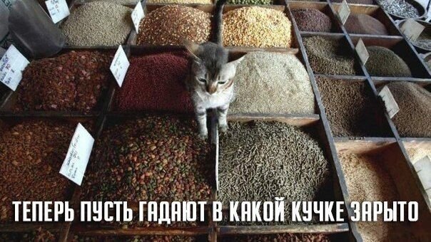    - 13  2021  11:43
