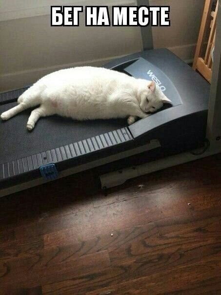     )