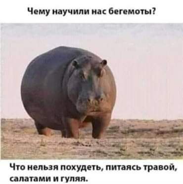  - 31  2022  21:29