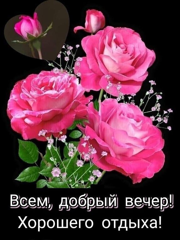   ,    . - 2  2021  18:41 - 3