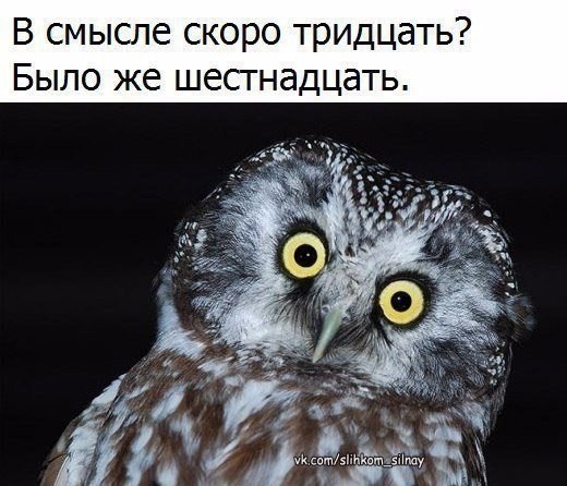  ,  .© - 1  2021  11:26