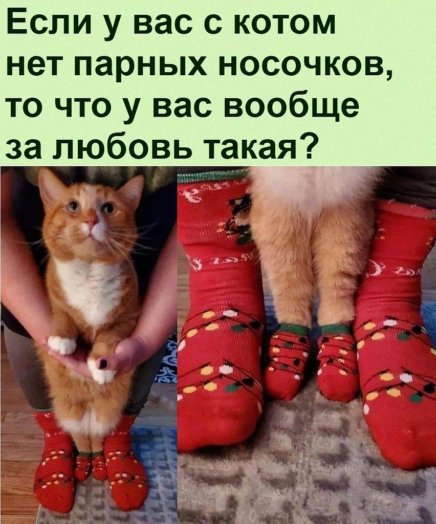   :D - 28  2021  12:23