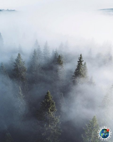 �c����c��e c�o���. ep�c��� �pa�. - 4