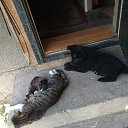 ���� �����, ������, 64 ���� - ��������� 12 ������� 2021 � ������ ���� ����������