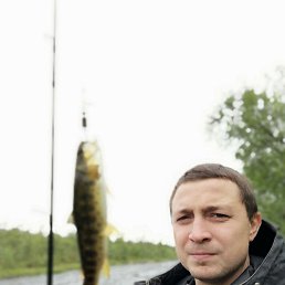 , 37, -