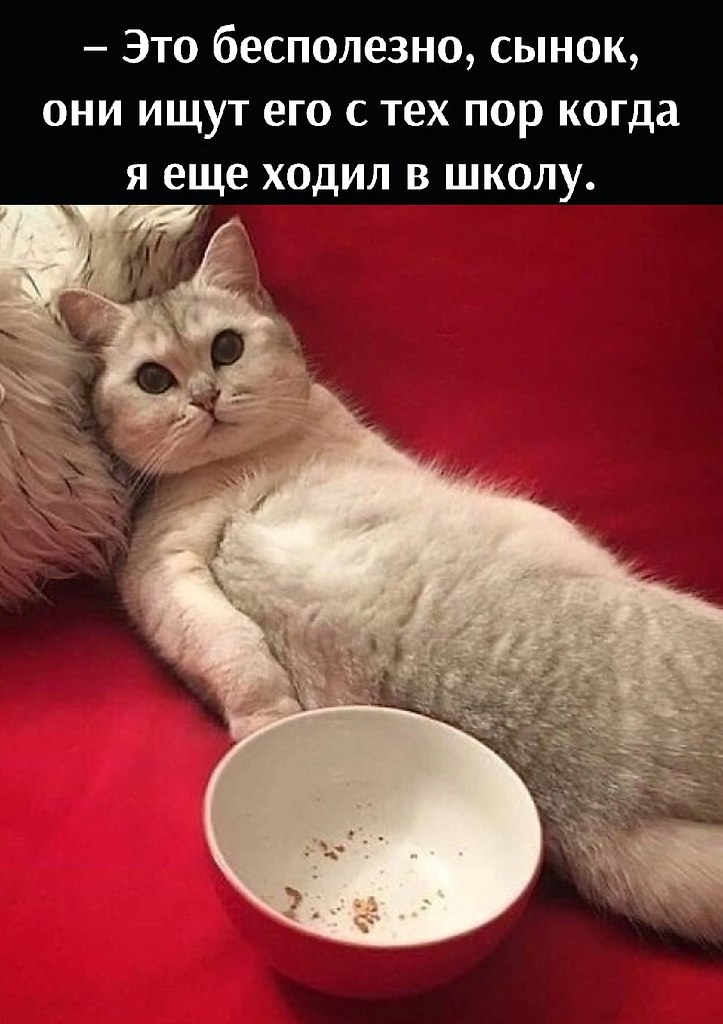       - 29  2021  16:11 - 2