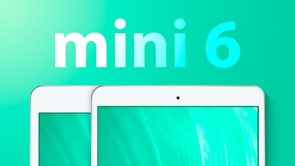  TFI Securities -  ,  Apple   iPad mini 6-   ...