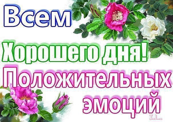   ,    . - 2  2021  12:11