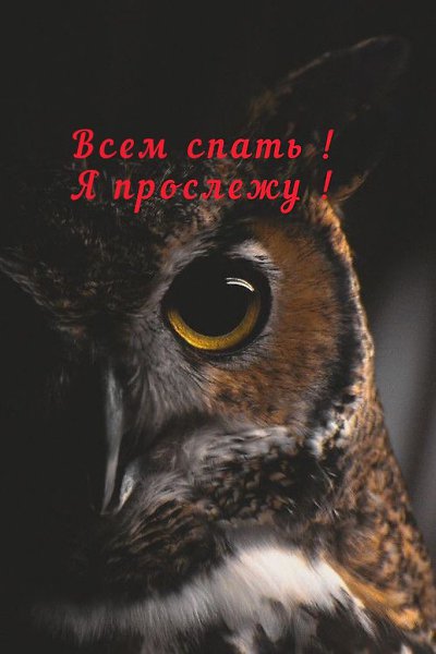   ! - 13  2021  21:55