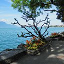  , , 68  -  17  2021   Montreux