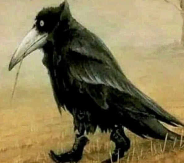        - -   ,   , ...