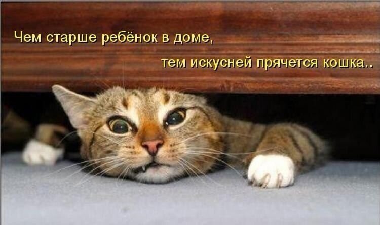   - 10  2021  02:28