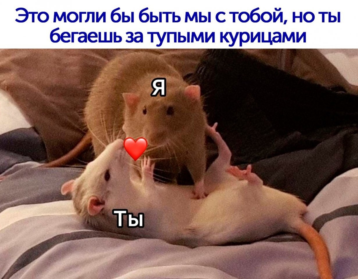       !