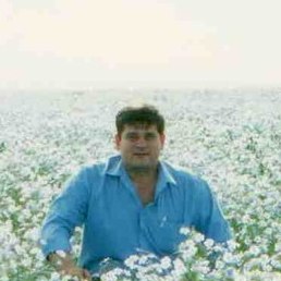 �������, ������, 46 ���