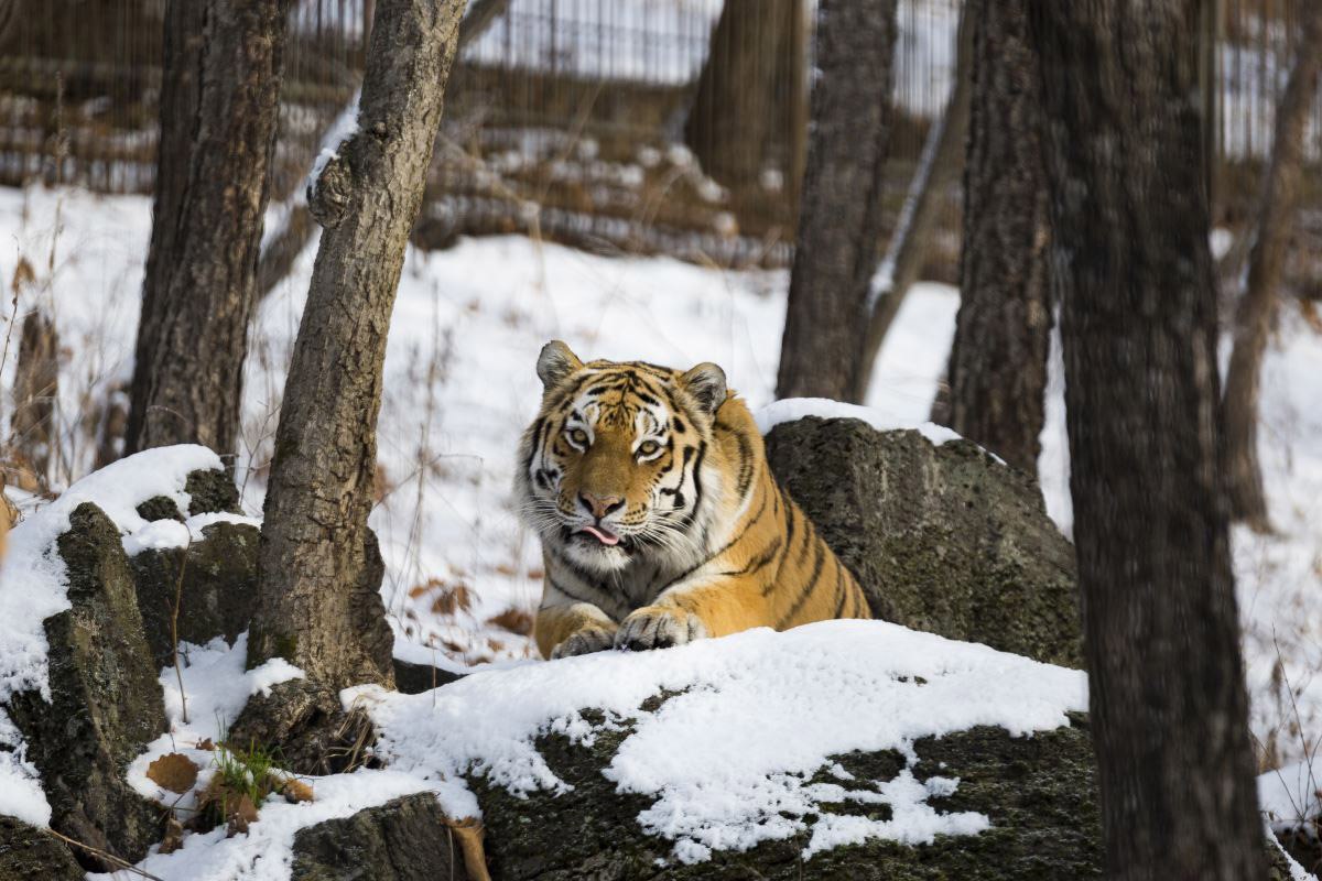 10  :  ,       .  ... - 5