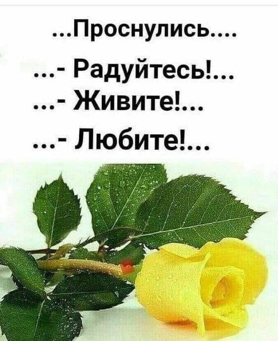   ,    . - 29  2021  21:05 - 3