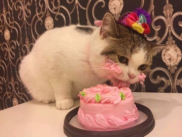  : )
