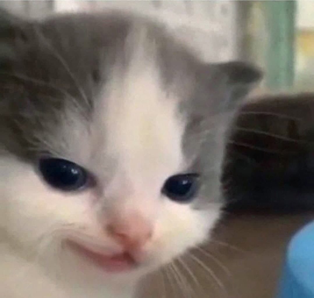  ,    ,  ! - 3