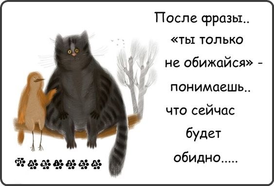 (^///^)