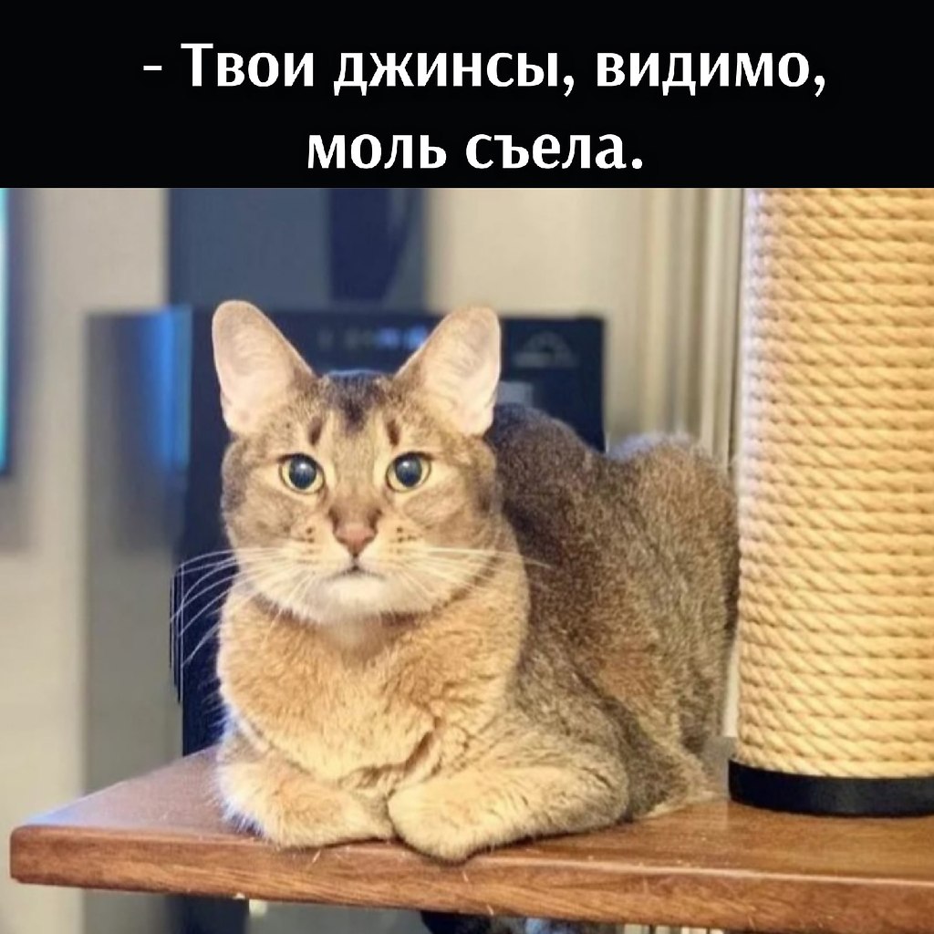       - 13  2021  10:01 - 2