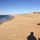 ���� �����, ������, 68 ��� - ��������� 27 ������ 2021 � ������ ���������, �����. ������ 2021.�