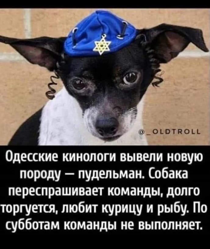 ***Victoria Viktorovna*** - 12  2021  12:03