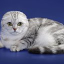  Elena....,  -  13  2021    