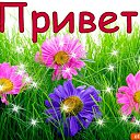 ���� ������, ������ - ��������� 29 ���� 2021 � ������ ���� ����������