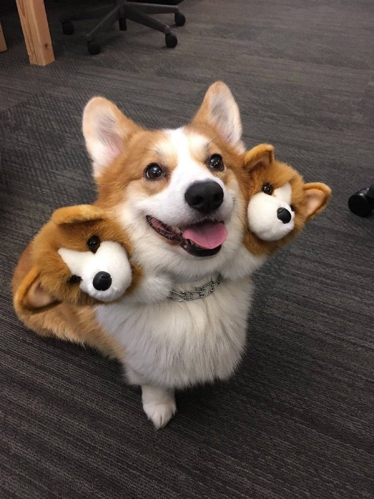    )