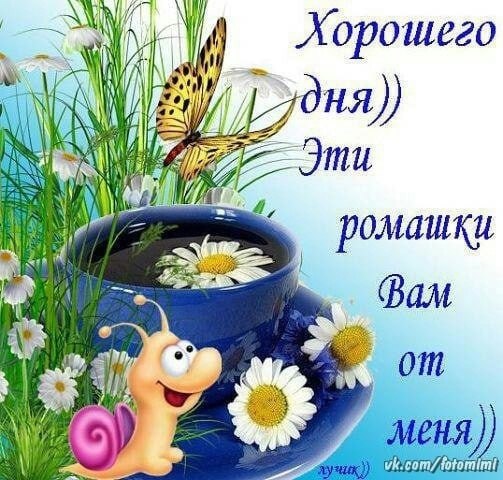   ,    . - 25  2021  23:49 - 3
