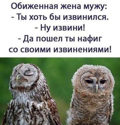  - 26  2021  03:23
