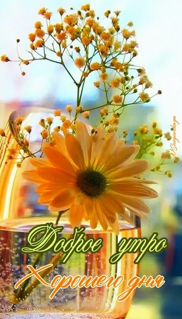 ***Victoria Viktorovna*** - 4  2021  03:29