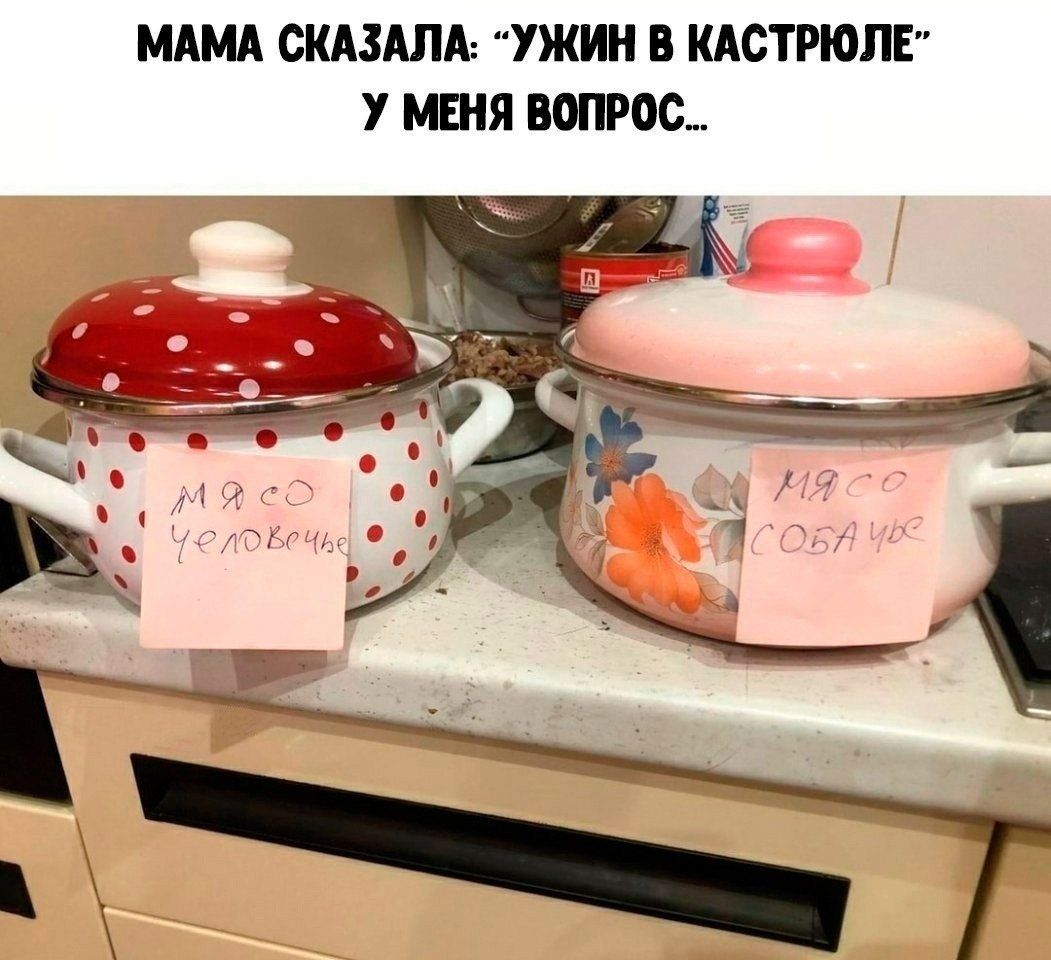    , . .       ,   ...