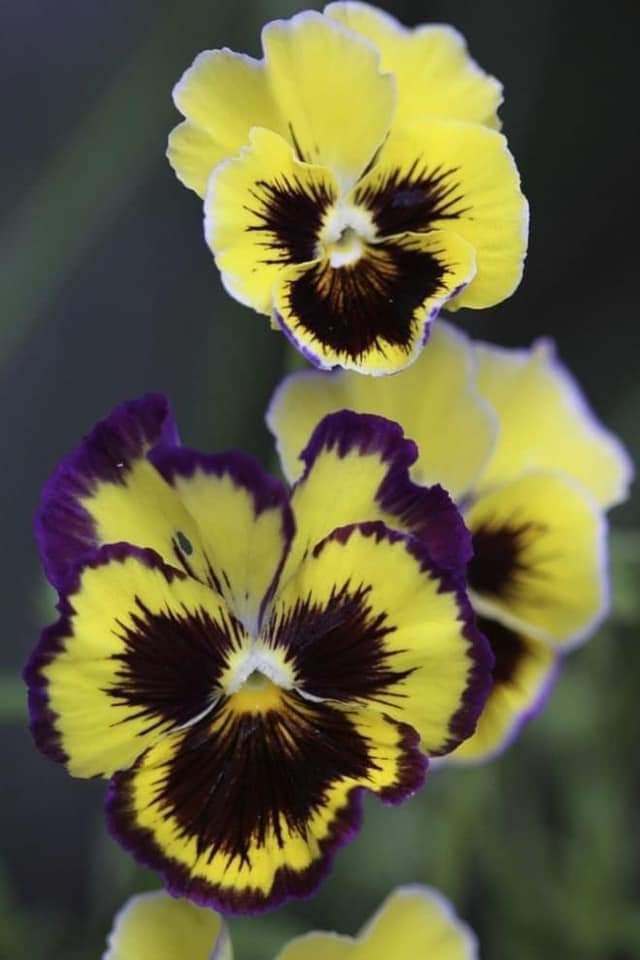 , , , .,  ,     . ...