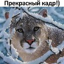  Galina...,  -  10  2021    