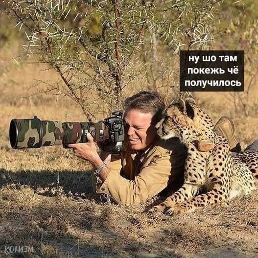 � � ��������������